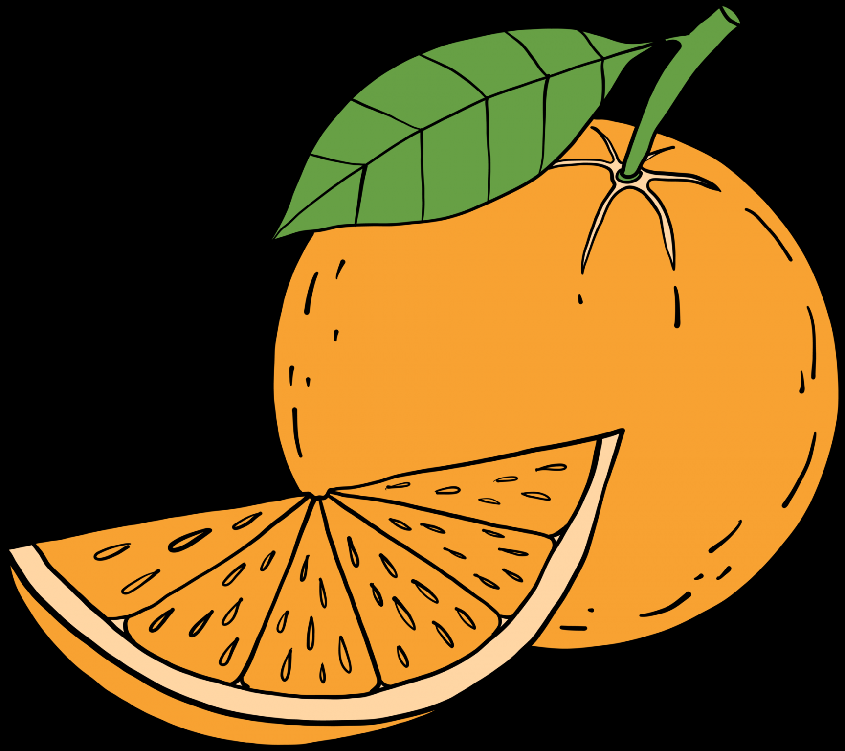 doodle freehand sketch drawing of orange fruit