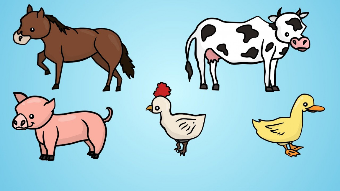 Draw Five: How to Draw Farm Animals