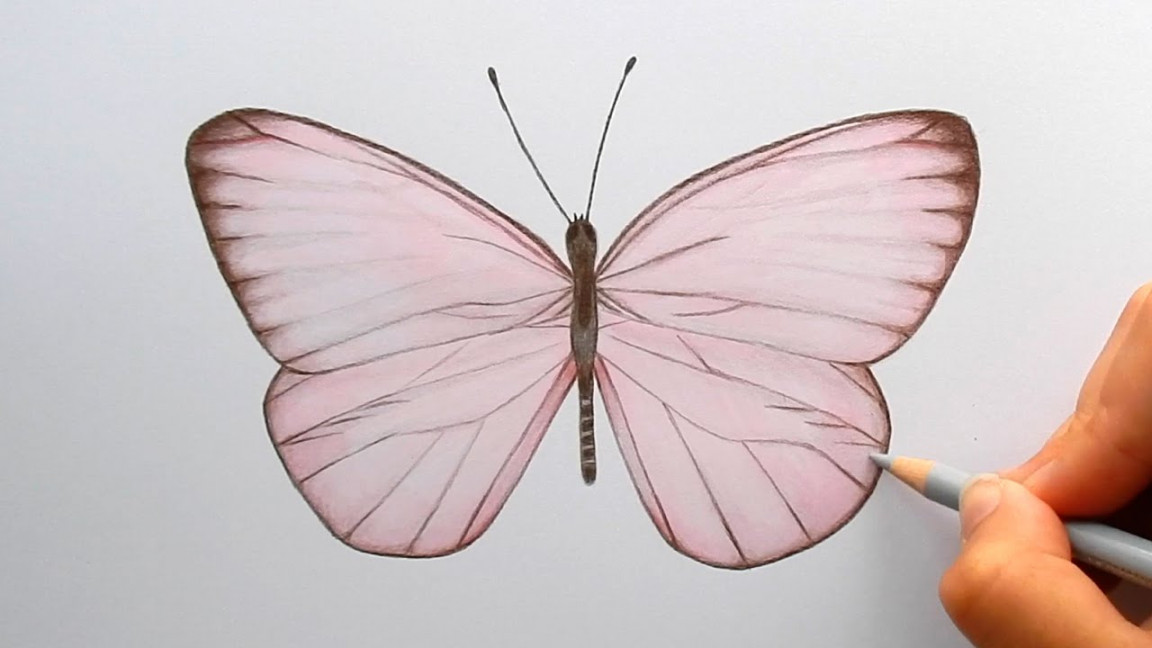 Drawing a light pink Butterfly with colored pencils and copic markers   Emmy Kalia