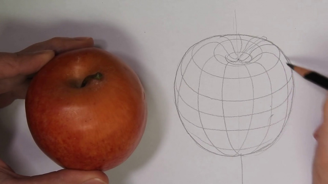 Drawing an apple with cross contour lines