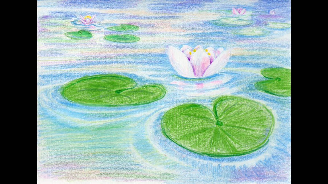 Drawing Lily Pads