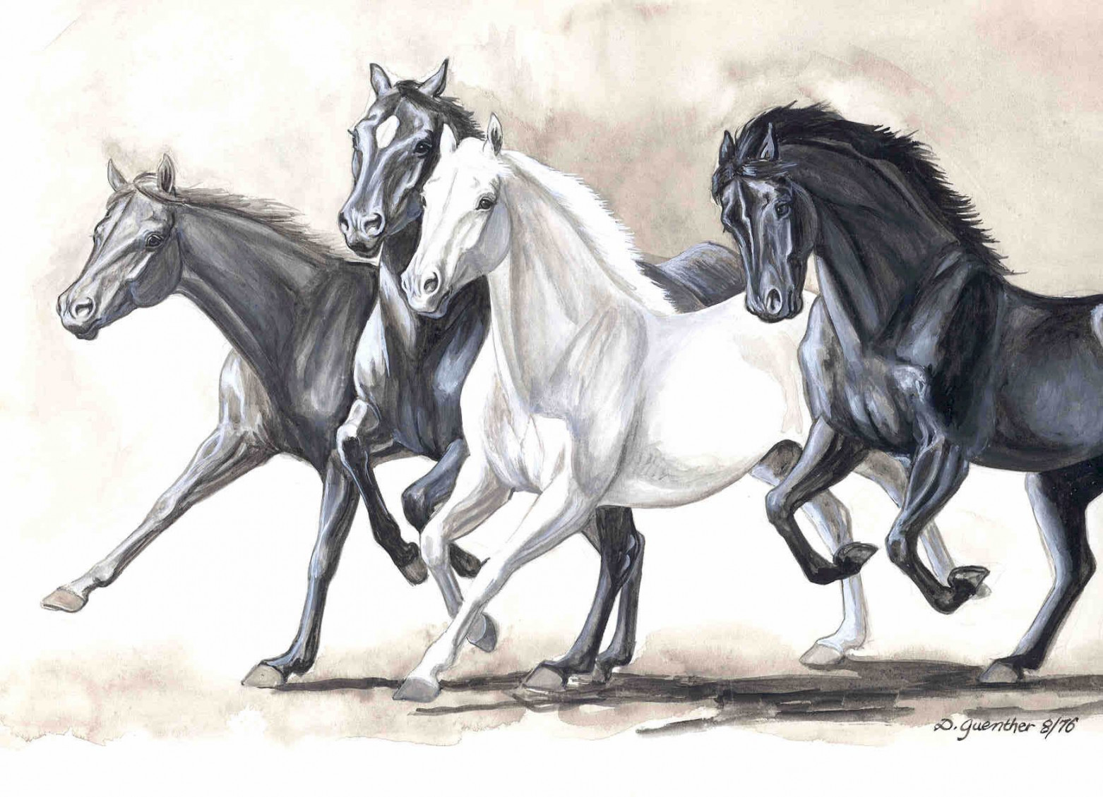 drawing of horses running - Yahoo Search Results  Horses, Horse