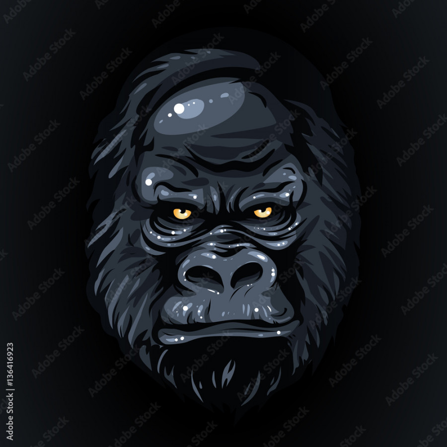 drawing realistic black face gorilla, yellow eyes Stock