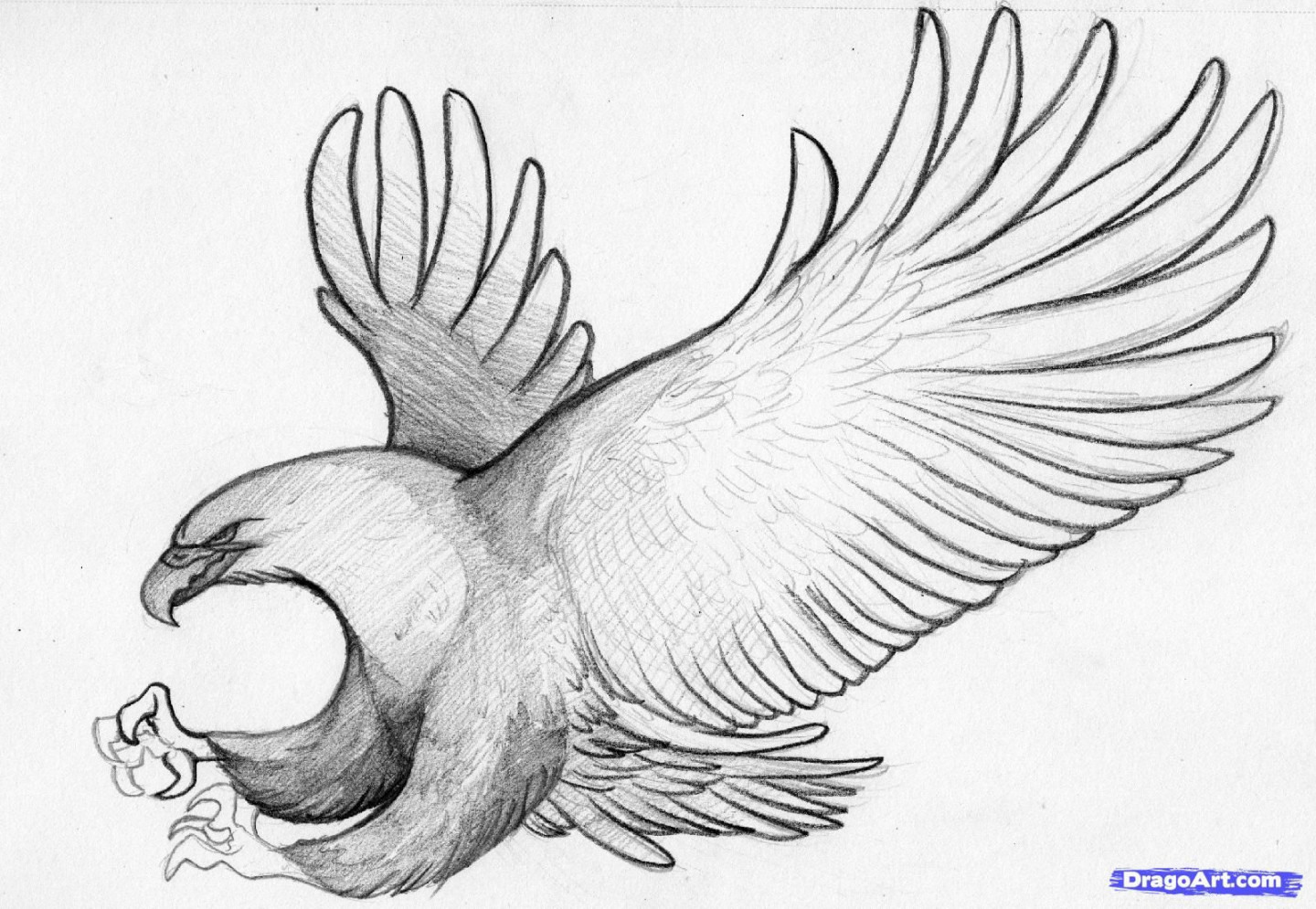 Easy Pencil Sketches  how to sketch an eagle in pencil, draw an