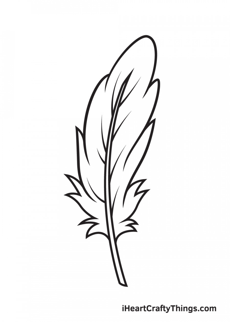 Feather Drawing - How To Draw A Feather Step By Step