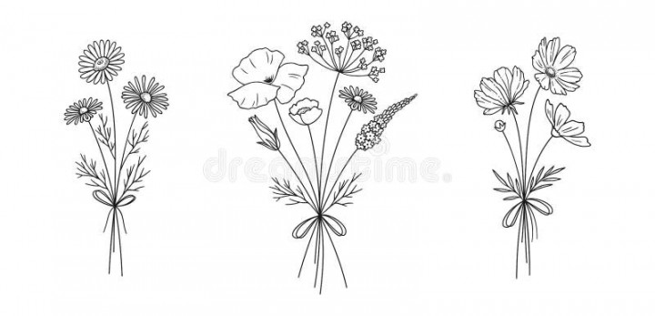 Floral Line Art Bouquets Set, Vector Illustration Stock Vector