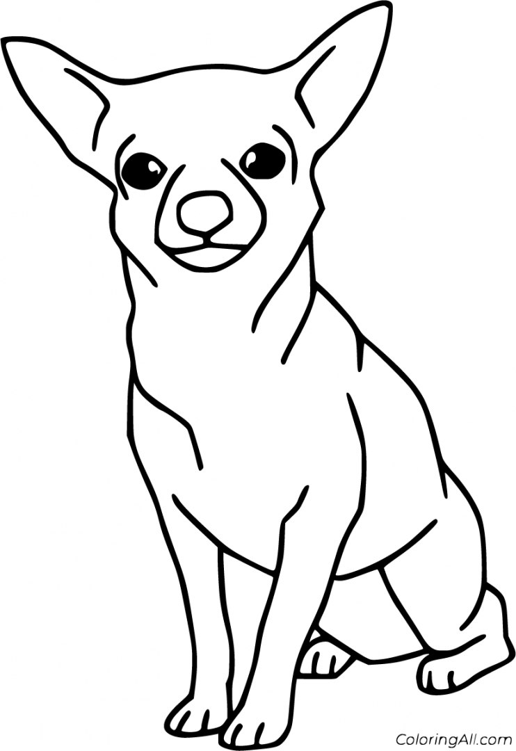 free printable Chihuahua coloring pages, easy to print from any