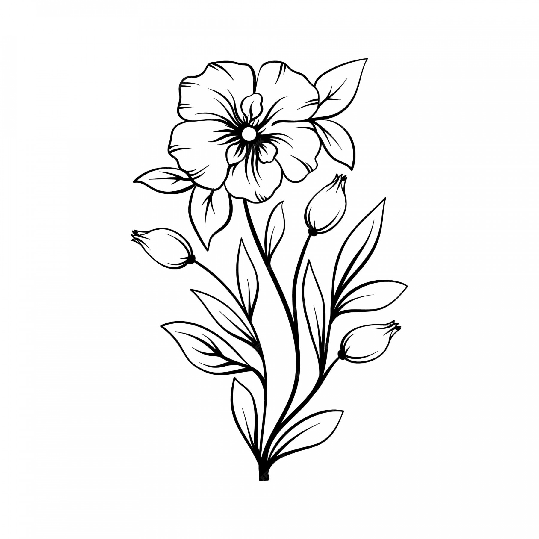 Free Vector  Hand drawn flat design simple flower outline