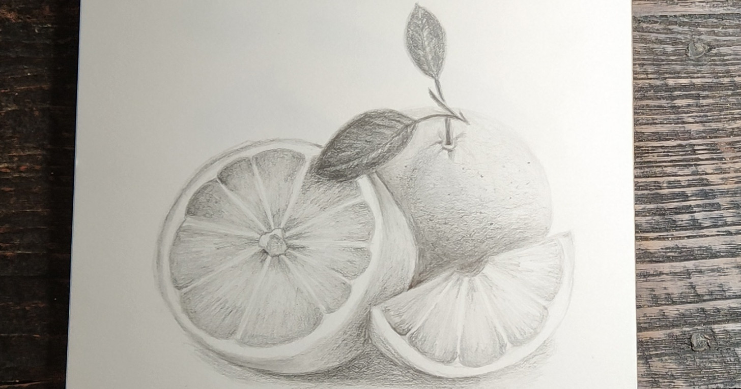 Fruit Drawing/Pencil Sketching and Shading/Art