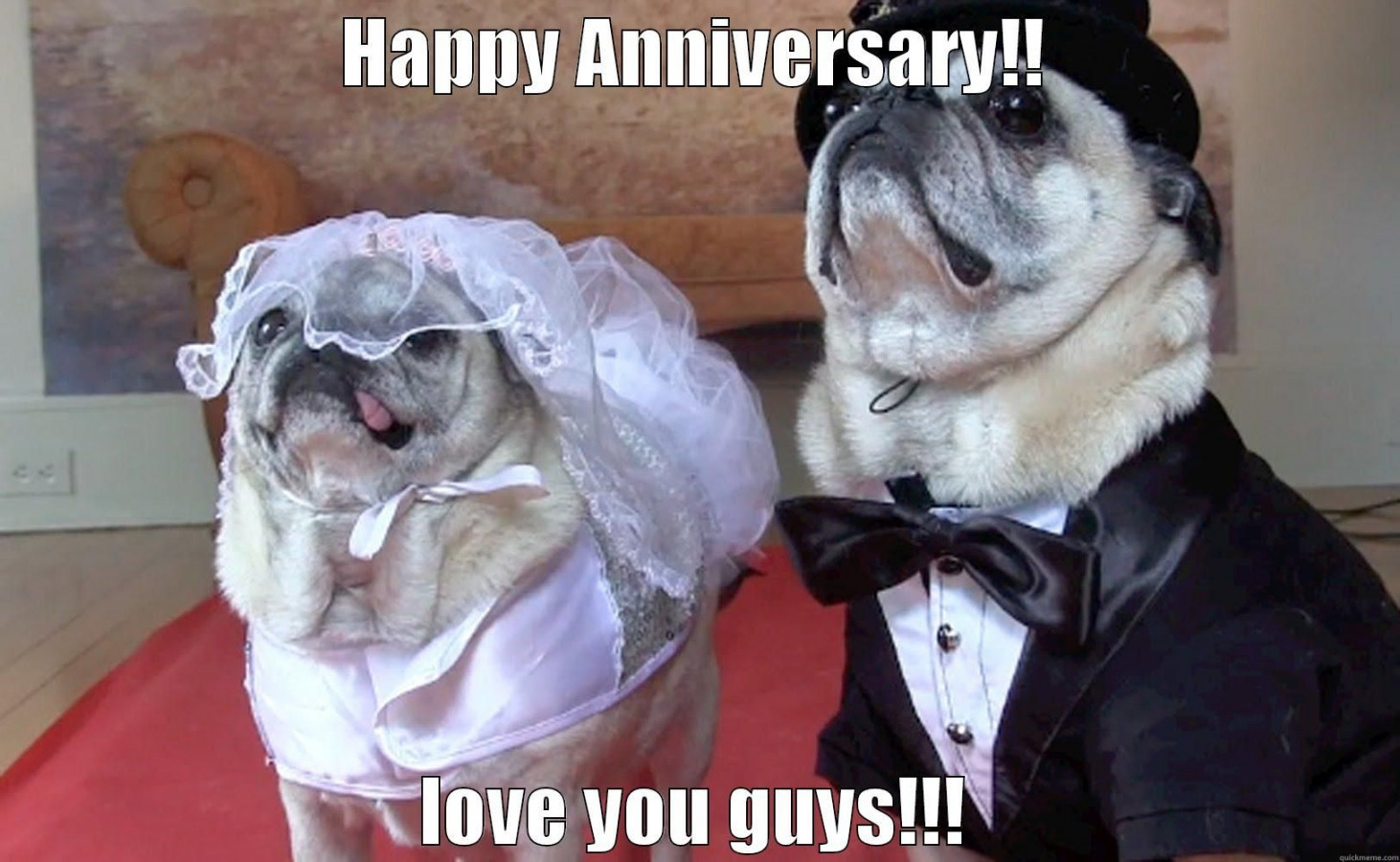 Funny Wedding Anniversary Images - Happy Marriage Anniversary