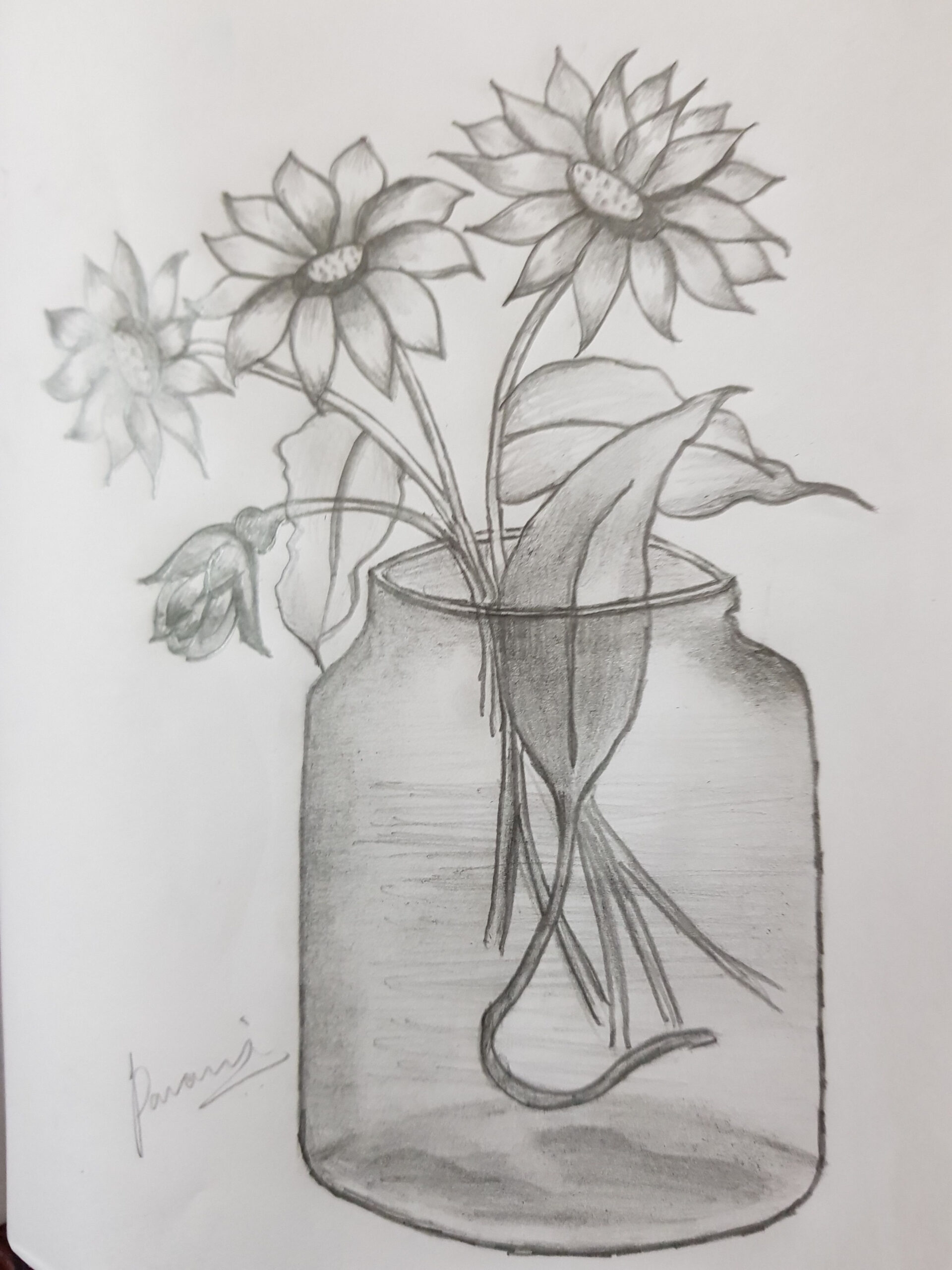 Glass flower vase  Drawings, Flower vase drawing, Drawing sketches