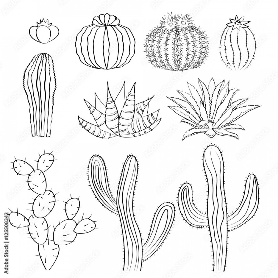 Hand drawn cactus sketch set