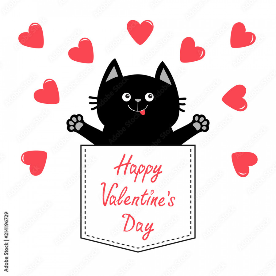 Happy Valentines Day. Cat in pink pocket