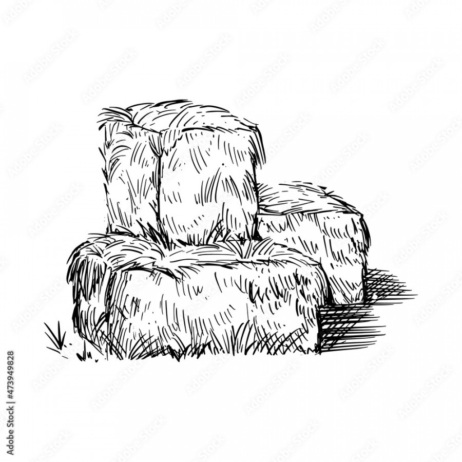 Hay bale farm drawing sketch. Hand drawn haystack