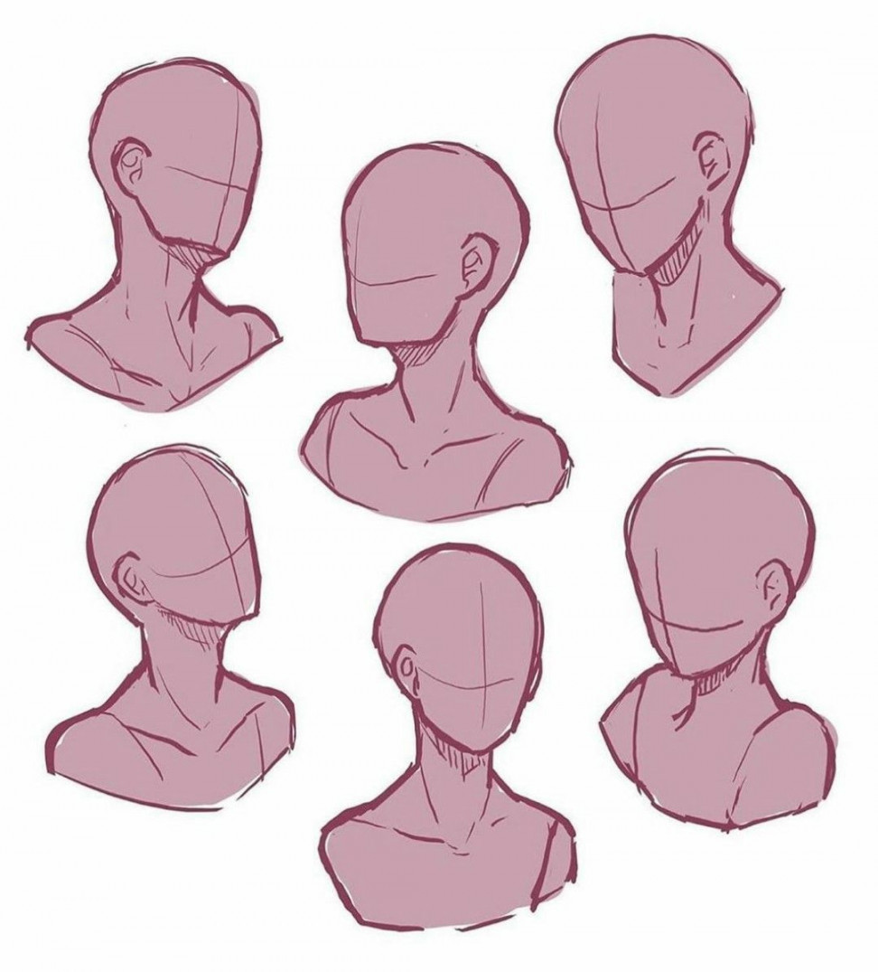 Head References  Figure drawing reference, Drawing base, Art