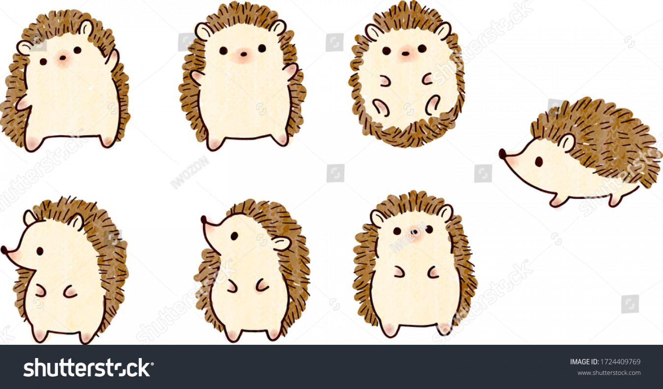 Hedgehog Drawing Photos and Images  Shutterstock