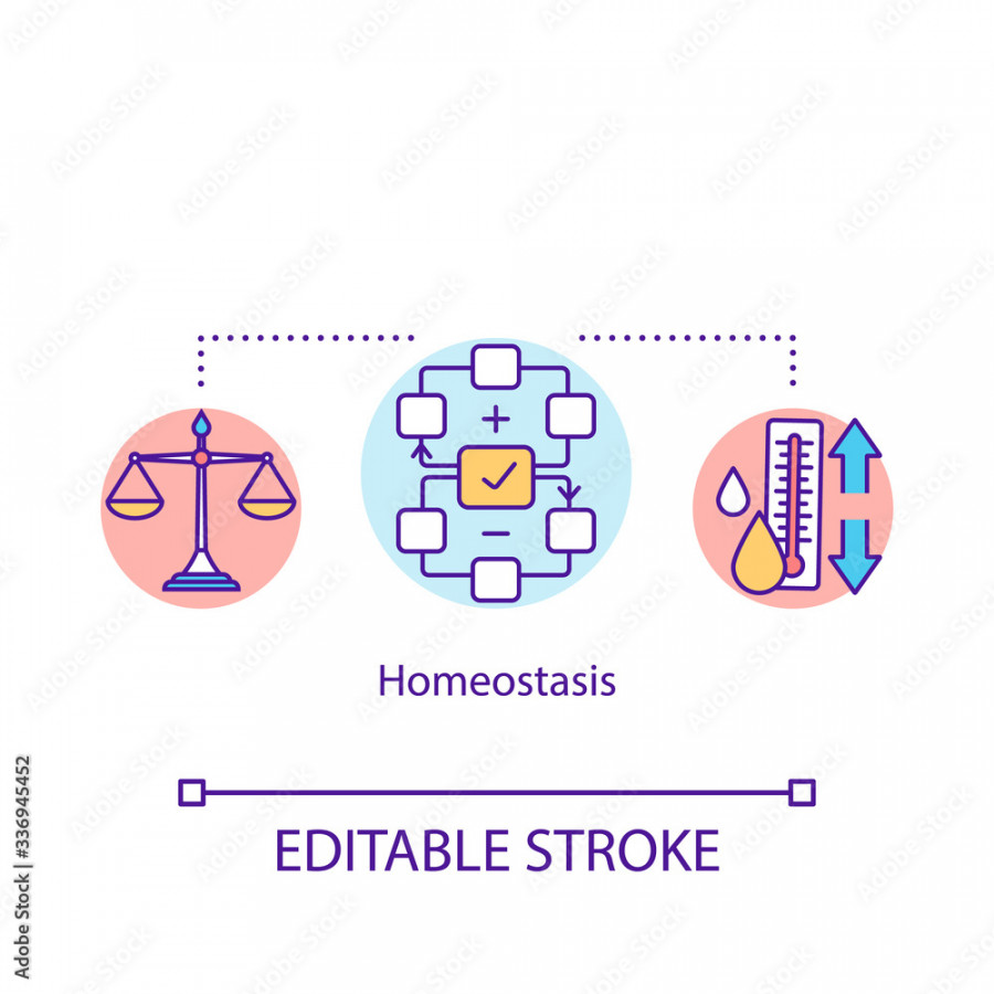 Homeostasis concept icon. Regulations in organism