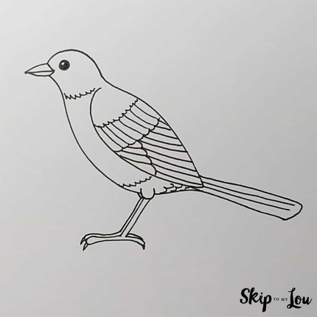 How to Draw a Bird  Skip To My Lou