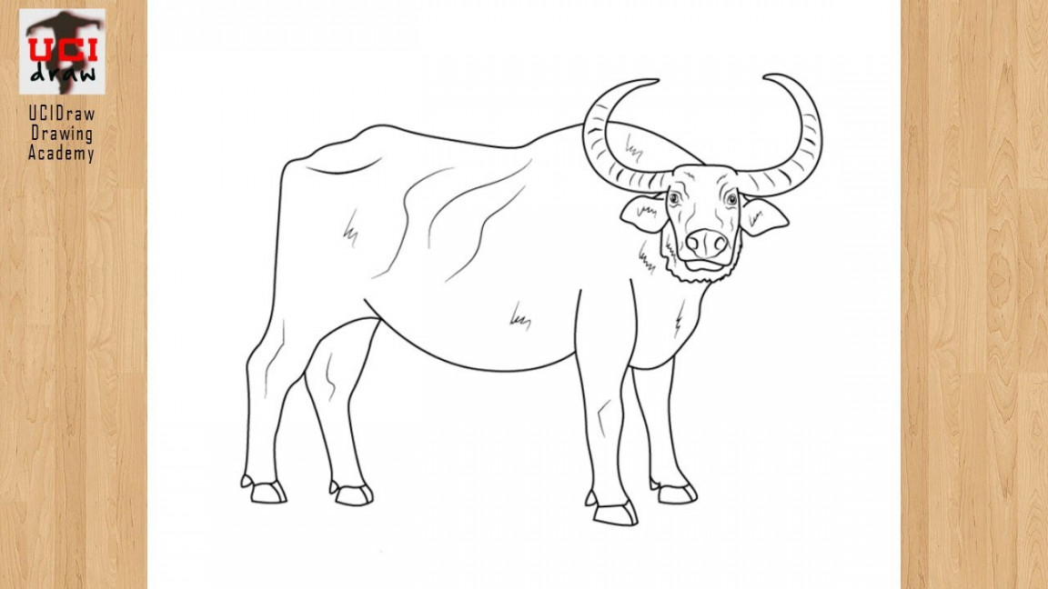 How to Draw a Buffalo Drawing Easy Outline  Step by Step Animal Sketch  Tutorial for Beginners