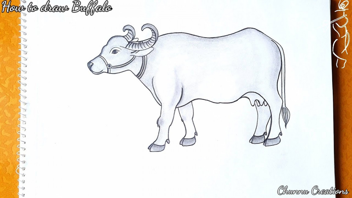 How to draw a Buffalo step by step  Easy Buffalo drawing