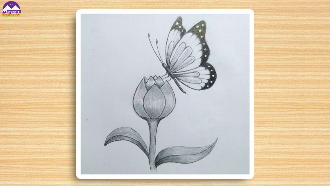 How to draw a butterfly on a flower  easy butterfly pencil drawing