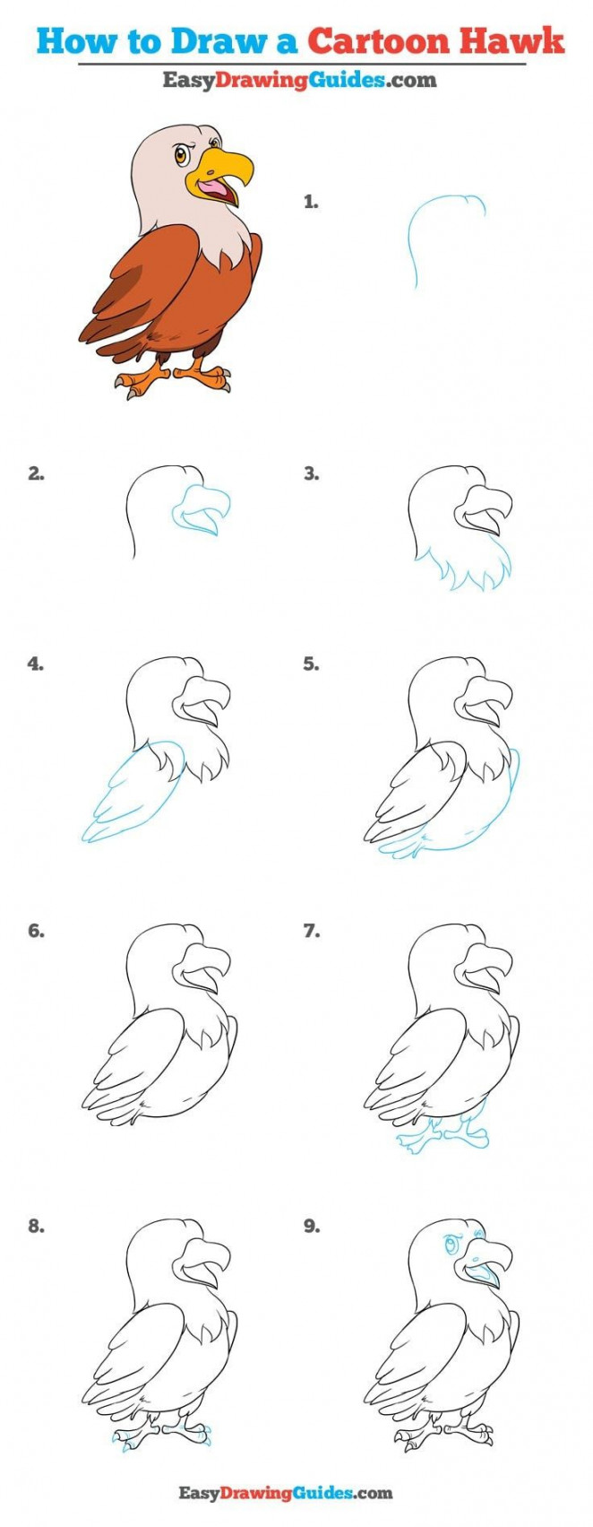 How to Draw a Cartoon Hawk- Really Easy Drawing Tutorial  Cartoon