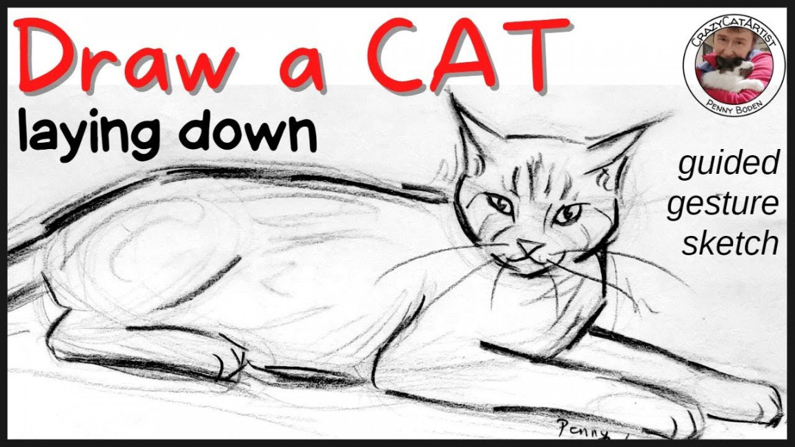 How to Draw a Cat Laying Down, side view, facing front simple sketch  tutorial, beginner artist & up