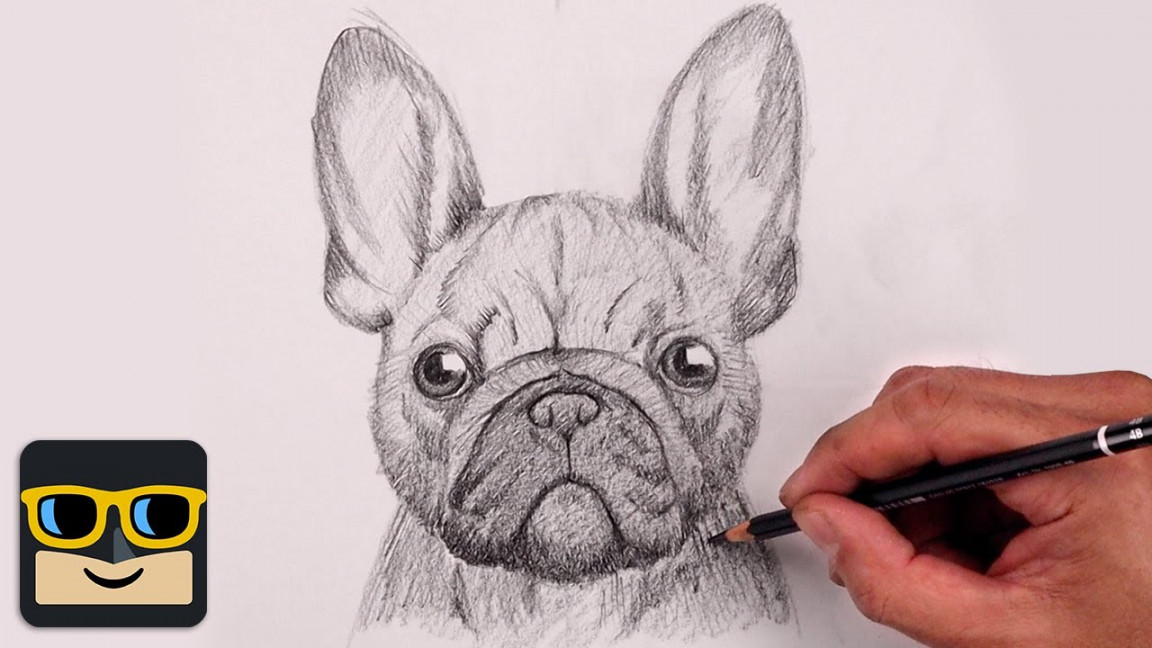 How To Draw a Dog  French Bulldog Sketch Tutorial