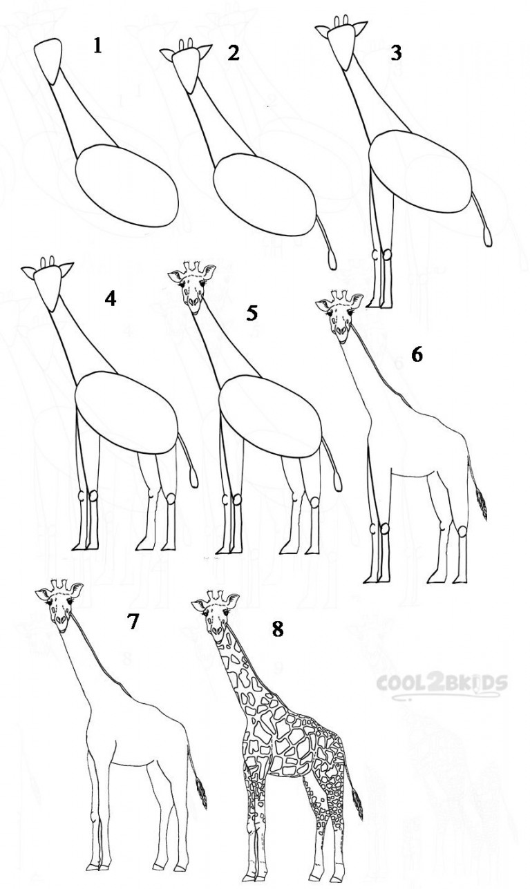 how to draw a giraffe - Google Search  Giraffe drawing, Drawing