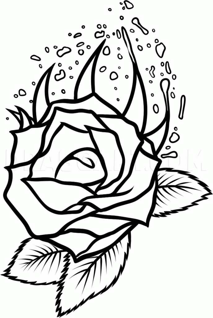 How To Draw A Gothic Rose, Step by Step, Drawing Guide, by Dawn