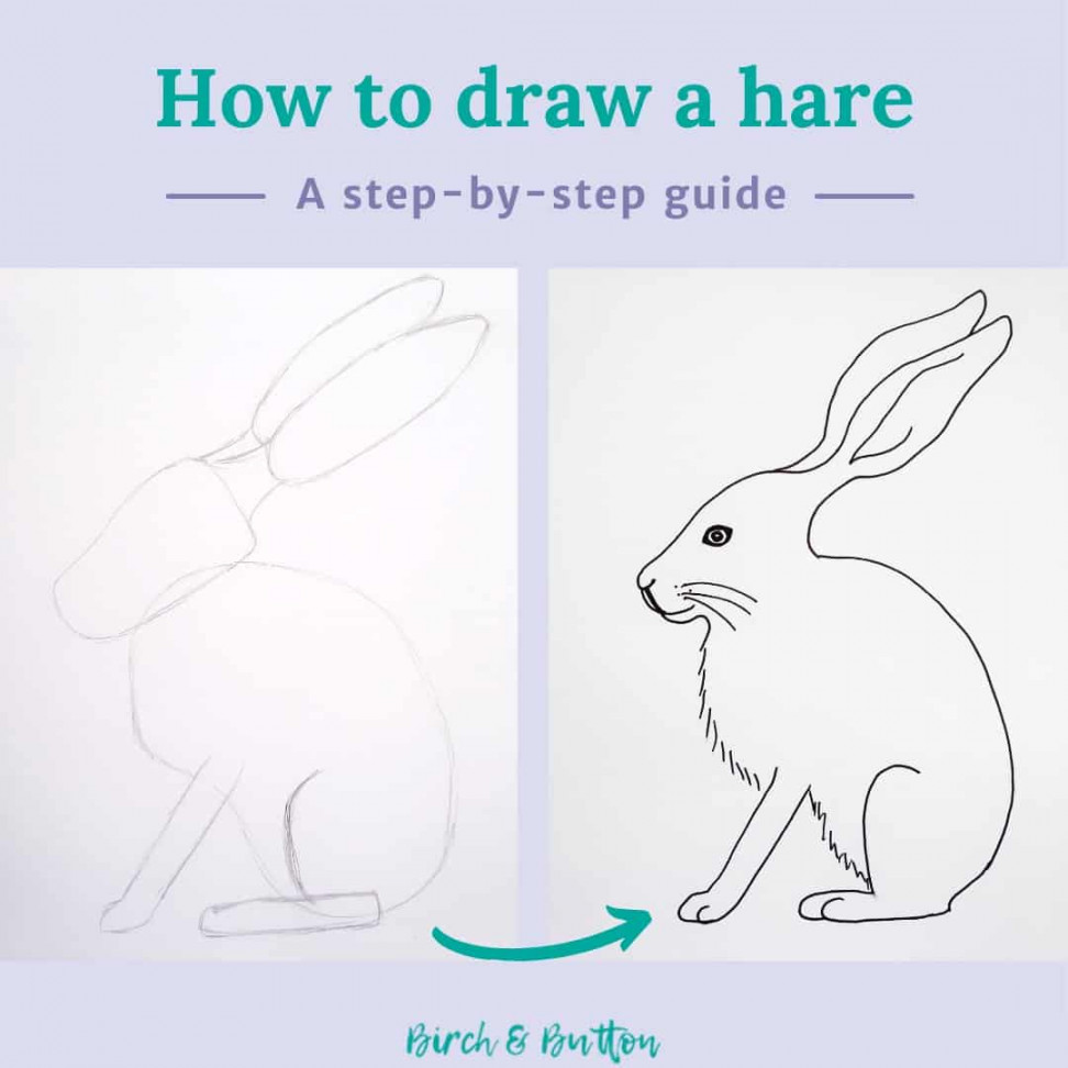 How To Draw A Hare - Birch And Button