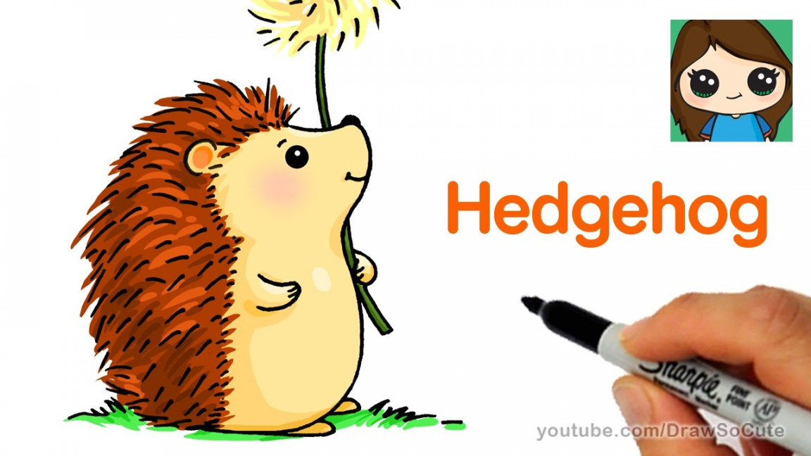 How to Draw a Hedgehog Easy