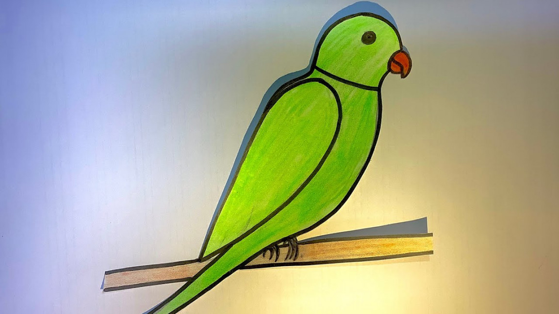 How to draw a Parrot step by step / Easy Parrot Drawing