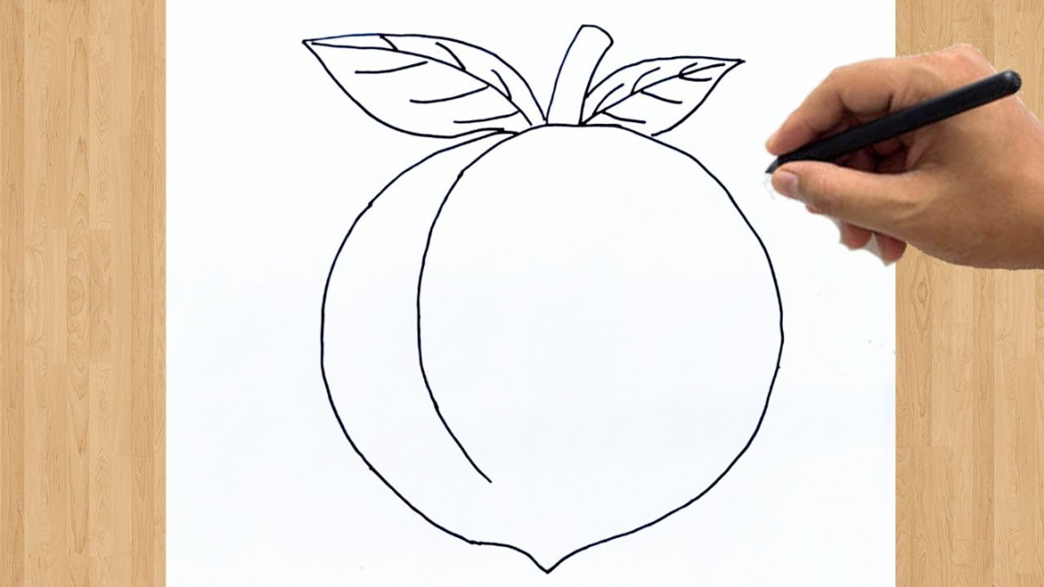 How to Draw a Peach Fruit Easy Step by Step Drawing