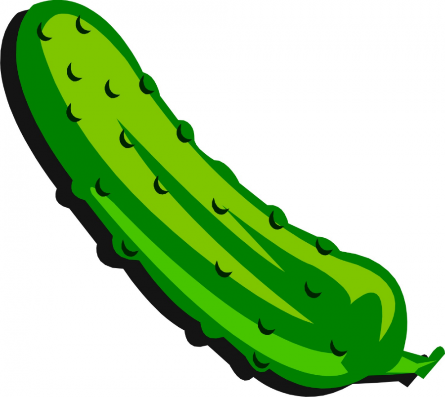 how to draw a pickle - Google Search  Pickle picture, Pickles