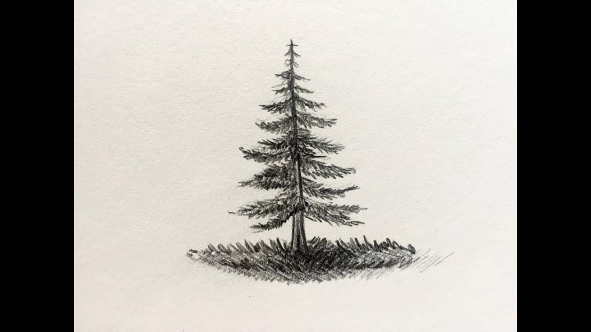 How to Draw a Pine Tree