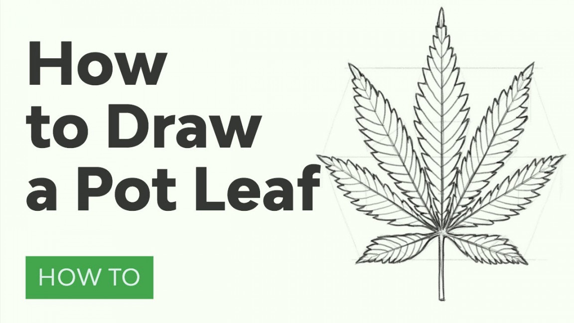 How to Draw a Pot Leaf