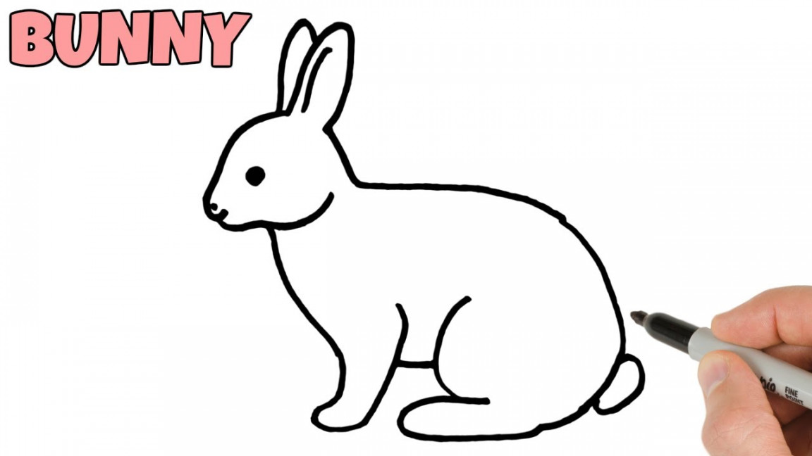 How to Draw a Rabbit Bunny easy step by step  Hare Drawing for beginners