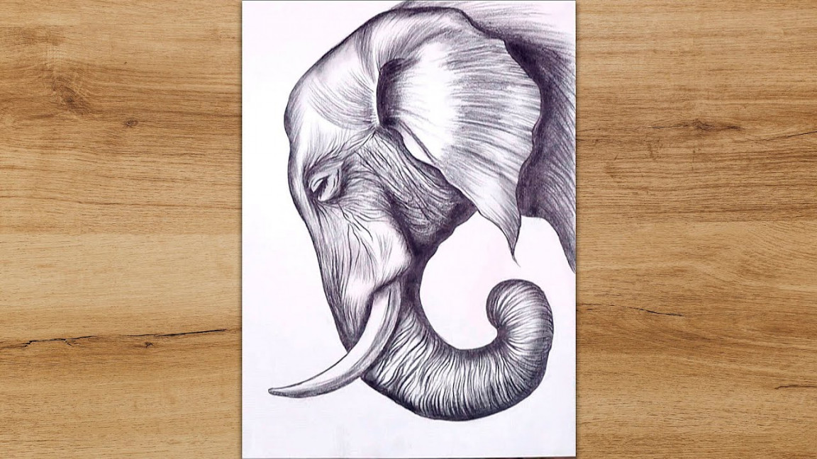 How to Draw a Realistic Elephant Head for Beginners  Animals Drawing