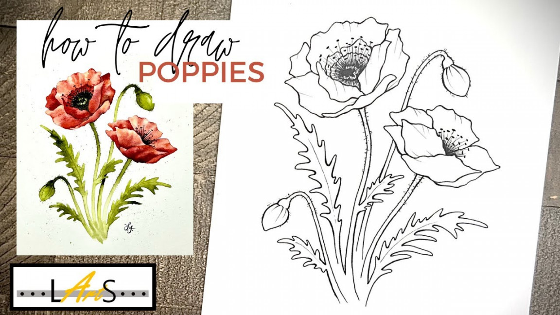 How to Draw a Realistic Poppy Flower! How to Draw! Poppy Flower! Poppy  Drawing! Poppy Red Flower!