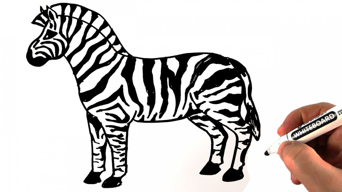 How To Draw A Zebra Easy 🦓 Drawing on a Whiteboard