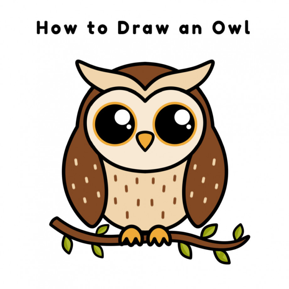 How to Draw An Owl