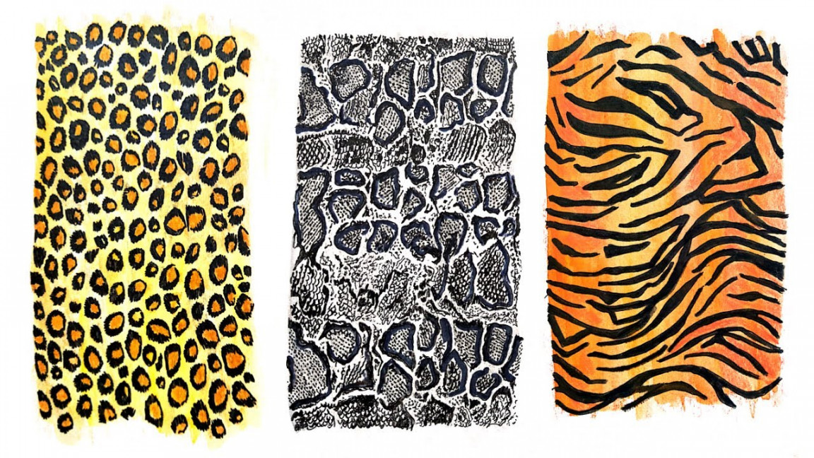 How to draw Animal prints