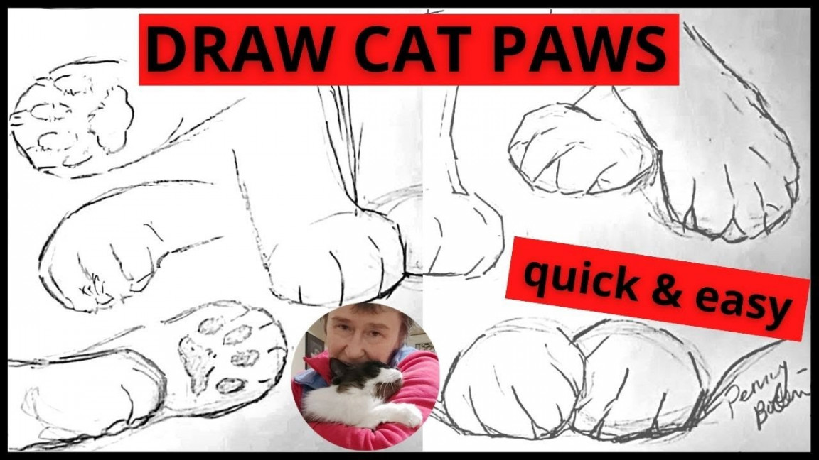 How to Draw Cat Paws Easy - quick pose gesture sketch for beginner kitty  artist, simple practice art