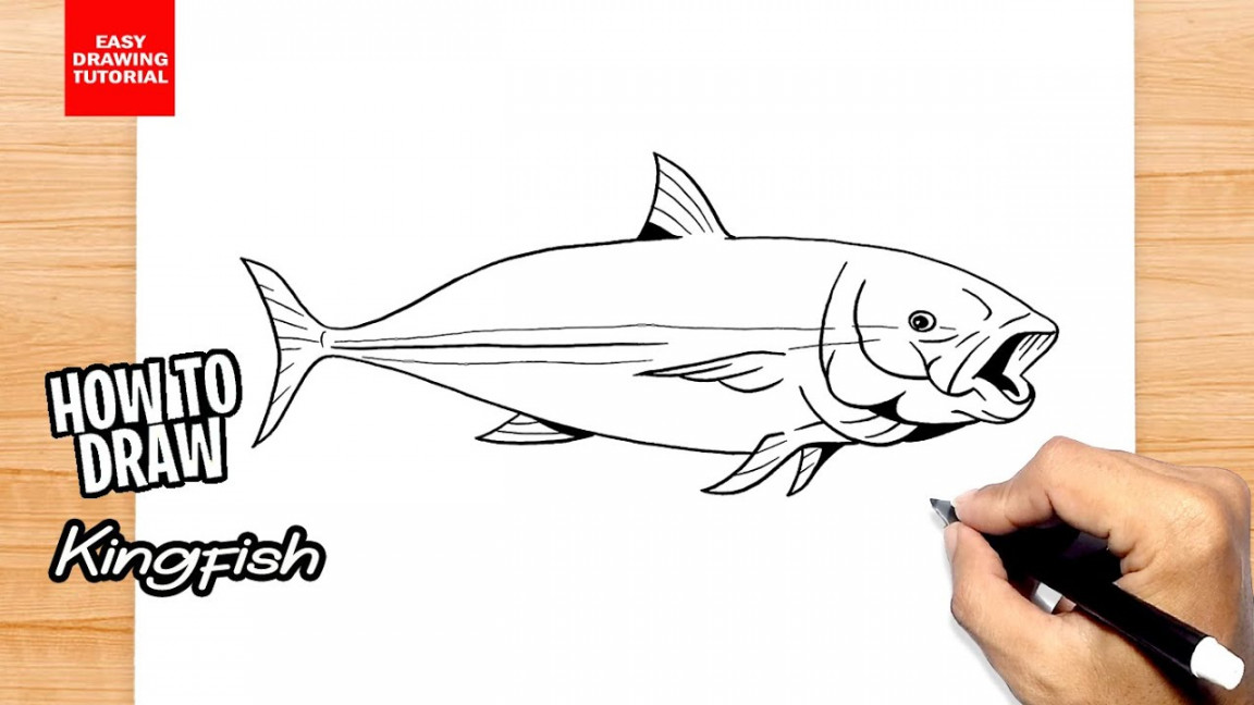 How to draw Kingfish