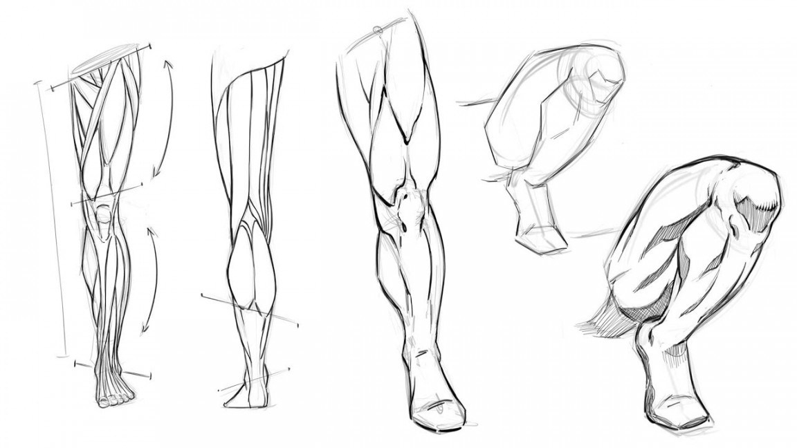 How to Draw Legs - Anatomy Study for Comic Artists