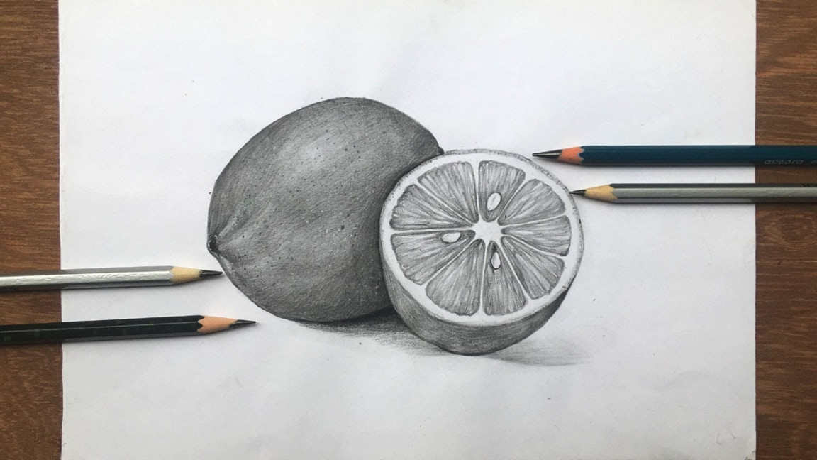 How to draw lemon in pencil sketch  still life  fruit drawing step by step