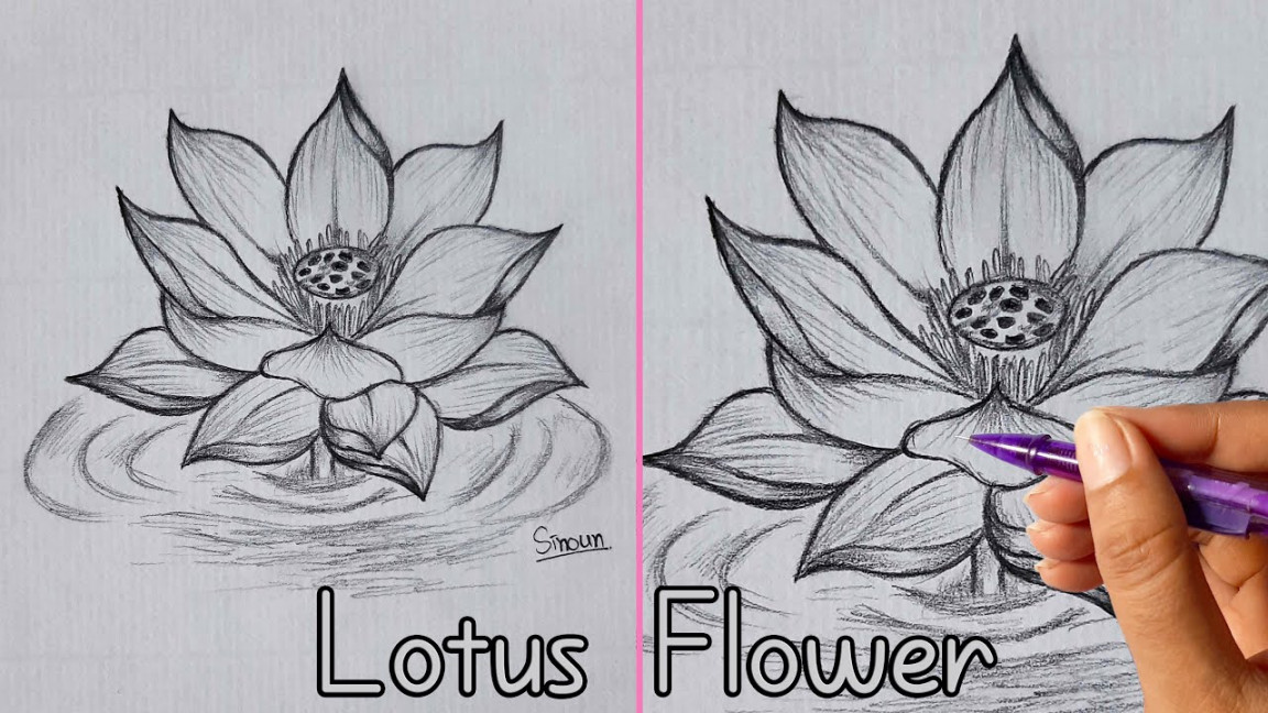 How to Draw Lotus Flower / Pencil Sketch