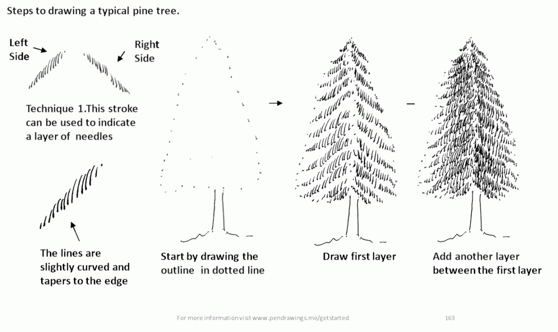 How to Draw Pine Trees with Pen and Ink - Pen and Ink Drawings by