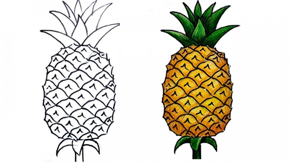 how to draw pineapple step by step (very easy)  Pineapple drawing